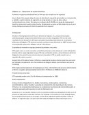 Seligram, Inc .: Operaciones de prueba electrónica