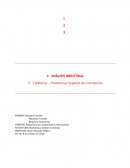 ANALISIS INDUSTRIAL CAFETERÍAS VEGANAS CONCEPCION