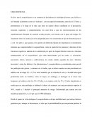 Esquizofrenia es un conjunto de desórdenes de etiologías diversas