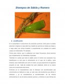 INFORME SHAMPOO DE SÁBILA