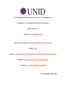 INVESTIGACIÓN Y SEGMENTACIÓN DE LOS MERCADOS