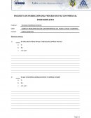 ENCUESTA DE PERSECCIÓN DEL PROCESO DE PAZ CON MIRAS AL POSTCONFLICTO