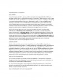 ¿Qué aprendí? Elasticidad