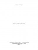 TEORIA DE SISTEMAS SOCIO TÉCNICOS