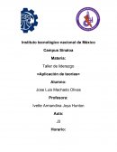 Aplicación de la teoría de rasgos y estilos de liderazgo