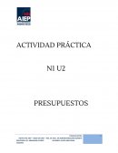 N1 U2 presupuestos