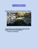 Ejemplo de paquete de decoración