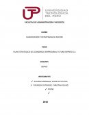 PLAN ESTRATEGICO DEL CONSORCIO EMPRESARIAL FUTURO EXPRESS S.A