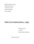 PRACTICA PROFESIONAL I (584)