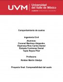 Combresibilidad del suelo