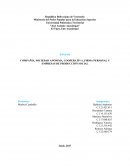 COMPAÑÍA, SOCIEDAD ANÓNIMA, COOPERATIVA, FIRMA PERSONAL Y EMPRESAS DE PRODUCCIÓN SOCIAL