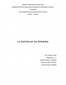 La quimica en los alimentos