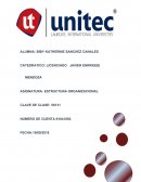 Estructura organizacional Sears