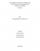 NEUROMARKETING Y NEUROVENTAS