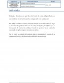 Actividad. Administración de empresas II: comercialización y financiación