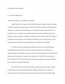 CASO PRACTICO NAVIDUL