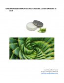 ELABORACION DE POMADA NATURAL FUNCIONAL DISTINTIVA HECHA DE ALOE