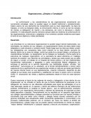 Organizaciones simples y complejas