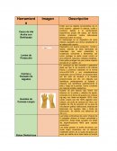 Equipo personal Maniobras