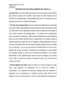 REPORTE DE LECTURA-CAMPOS DE CASTILLA