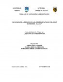 Influencia del liderazgo en las áreas sustantivas y de apoyo de Profepa - Oaxaca