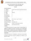 SILABO ING. CIVIL CONSTITUCION