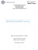 Intervención Comunitaria "Participación"