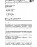 Análisis institucional. Cultura institucional