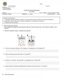 Prueba de Ciencias Naturales. Ley de Boyle s/r