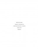 PROYECTO FINAL COMUNICACION