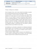 Inteligencias múltiples. Las actividades van a ir destinadas al alumnado de Educación infantil