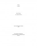 El juego. ¿Y Entonces el Juego es solo Juego?