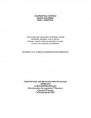 Evaluacion de matrices externas de argos