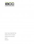 Trabajo Final Gestión de Emergencias IACC