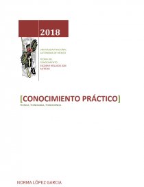 CONOCIMIENTO PRACTICO. Página 1