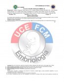 Aborto espontaneo. Causas