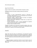 El sostén de las plantas. Función del tallo: transporte y sostén