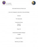 Analisis Literario de Macario de Juan Rulfo