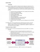 Tecnologias de informacion Cobit For Risk