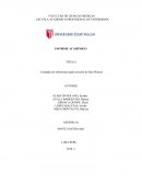 Cuidados de enfermeria segun la teoria de watson
