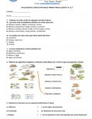 EVALUACIÓN DE CIENCIAS NATURALES