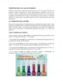 Temperatura de infusiones