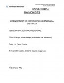 PSICOLOGIA ORGANIZACIONAL Entrega primer trabajo (actividades de aplicación).