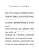 Importancia del conocimiento de los Derechos Registrables y su aplicación en el Segundo Registro de la Propiedad