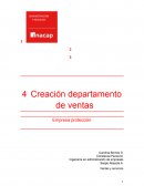 Creación departamento de ventas. Empresa protección