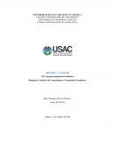 Pensamiento estadístico. Resumen