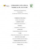 RESUMEN DEL PROGRAMA DE PARTICIPACIÓN ESTUDIANTIL (PPE)