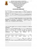 Acta de visita domiciliaria