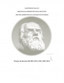 Ensayo de Normas ISO 9001:2015 e ISO 14001:2015