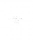 Administración de la prevención de riesgos